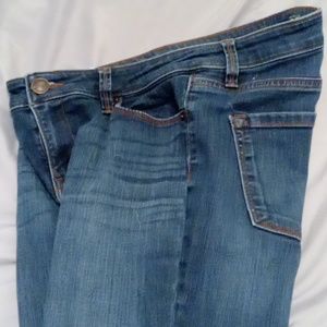 Loft jeans, straight and curvy